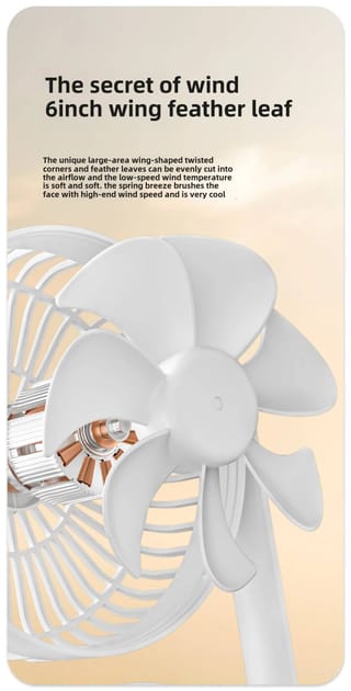 Double-Head High Wind Air Circulation Desktop Fan Portable Double-Layer Cooling Fan 5
