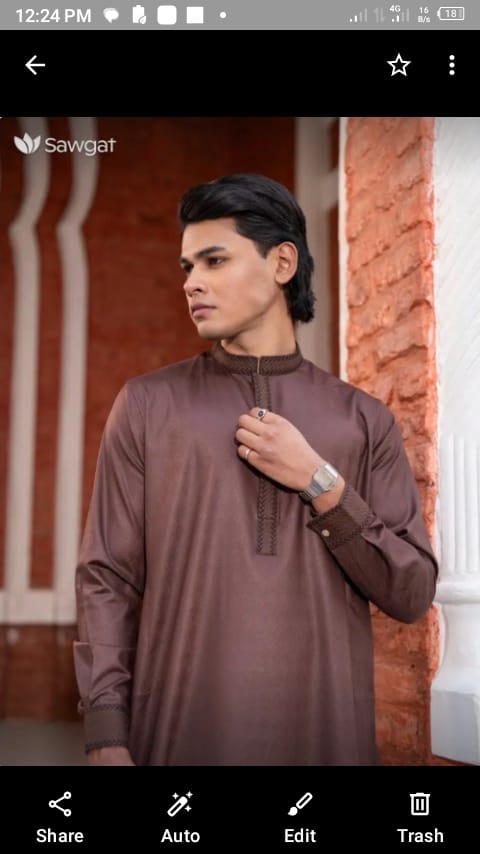 Luxury Panjabi