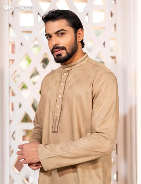 Luxury  Panjabi