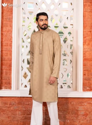 Luxury  Panjabi 2