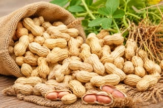 ফ্রেশ দেশি কাঁচা বাদাম | Premium Raw Peanuts | উচ্চমানের কৃষকের সরাসরি সংগ্রহ 2