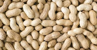 ফ্রেশ দেশি কাঁচা বাদাম | Premium Raw Peanuts | উচ্চমানের কৃষকের সরাসরি সংগ্রহ 5