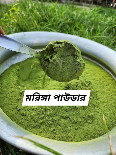মরিঙ্গা পাউডার(সজনে পাতার পাউডার)