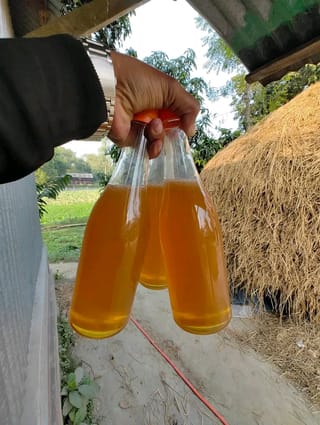 সুন্দর বনের খলিশা ফুলের মধু 2