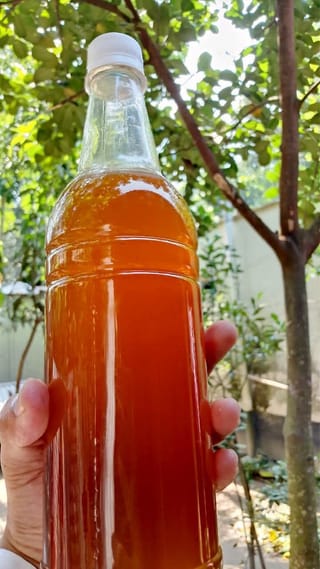 সুন্দর বনের  চাকের মধু হাফ কেজি 2