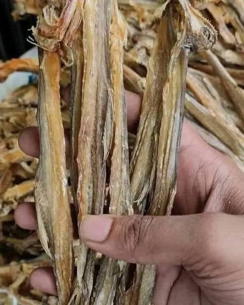 লইট্টা শুটকি