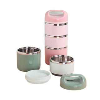 School tiffin box 3
