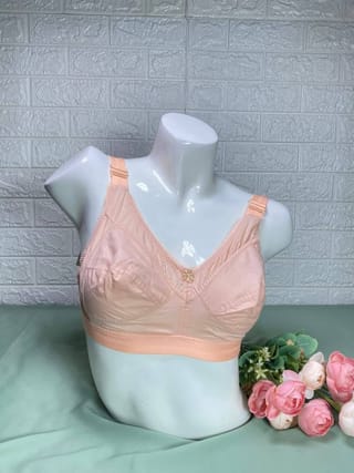 ✨ ইন্ডিয়ান গুড্ডি ব্রা (Indian Guddi Bra)! ✨ 3