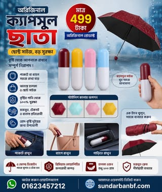 Original Capsule Umbrella 2