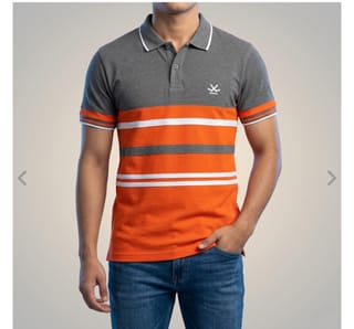 Polo stylish 2