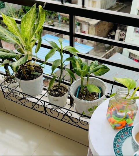 গ্রিল হ্যাঙ্গার