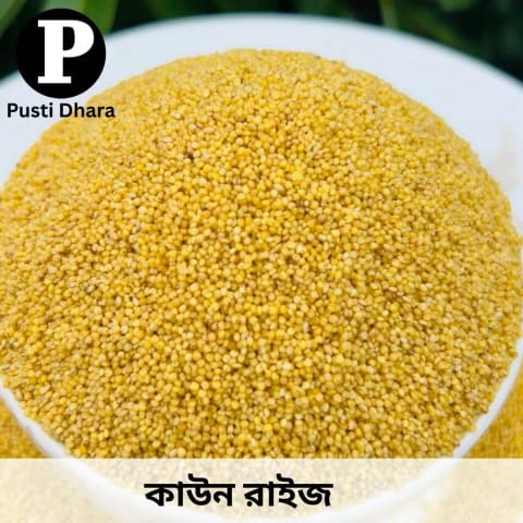 Foxtail millet ( কাউন চাল ) -- 500 গ্রাম