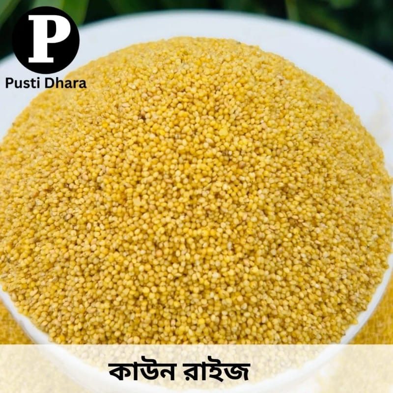 Foxtail millet (কাউন চাল)--250 গ্রাম