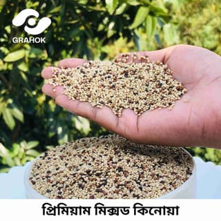 Quinoa