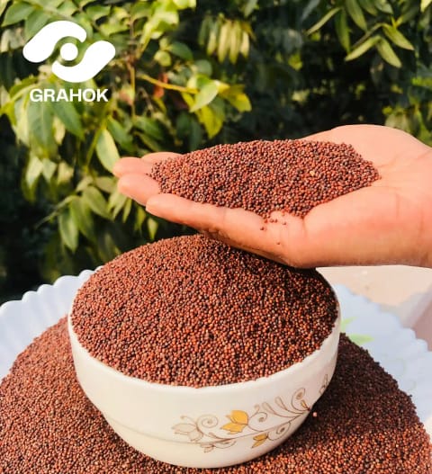 Finger Millet ( রাগী দানা ) - ১ কেজি