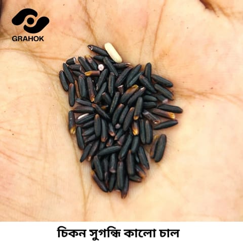 সুগন্ধি কালো চাল
