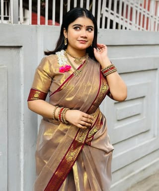 Hit Lama Sharee with Blouse Piece 4