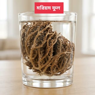 Moriom Flower মরিয়ম ফুল 2