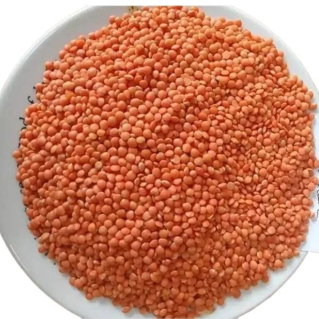 মোটা