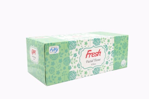 Fresh Facial Tissue White 100PcsX2Ply