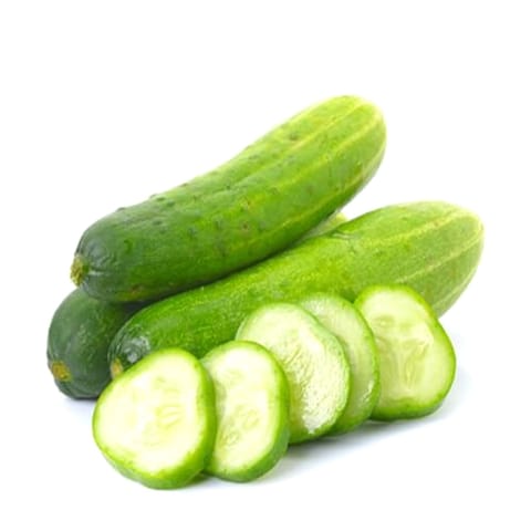শসা (শসা কেজি) Cucumber (Shosha kg