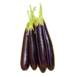 ব্রাইটফার্মস লম্বা বেগুন 1