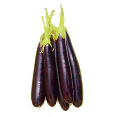 ব্রাইটফার্মস লম্বা বেগুন
