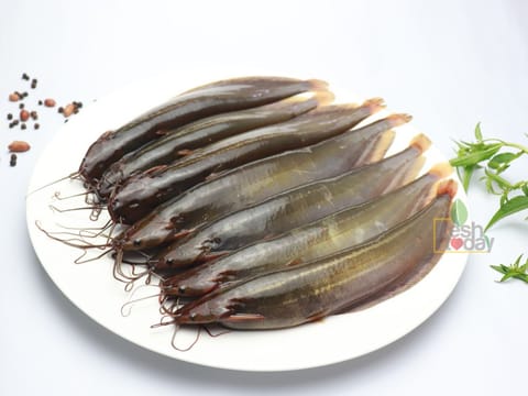 শিং মাছ ( মিডিয়াম)